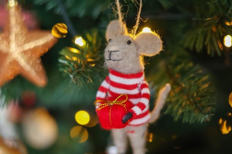 POVÁNOČNÍ  TRX s LUCKOU 🎍 ZA PŮLKU🎁