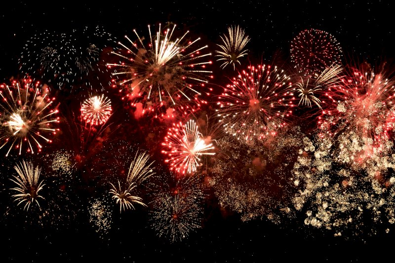 SILVESTR   TRX    ZA POLOVIC